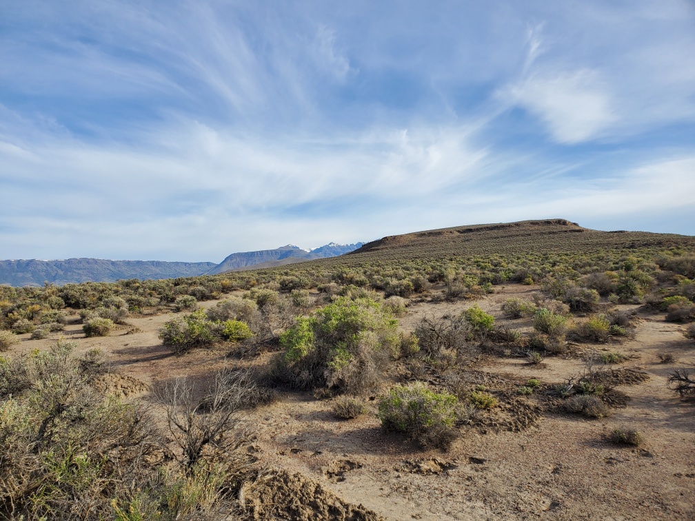 DT-043-2022-05-18 Morning in Alvord Desert